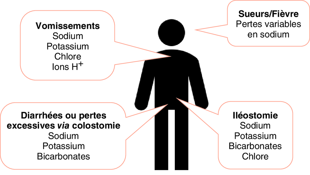 A Pertes biologiques induites par certains états pathologiques