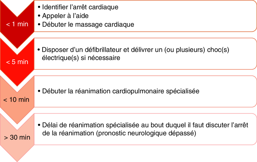 Frise chronologique des objectifs de prise en charge selon le délai