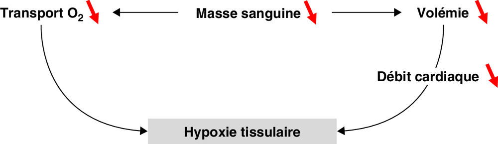 A Physiopathologie du choc hémorragique