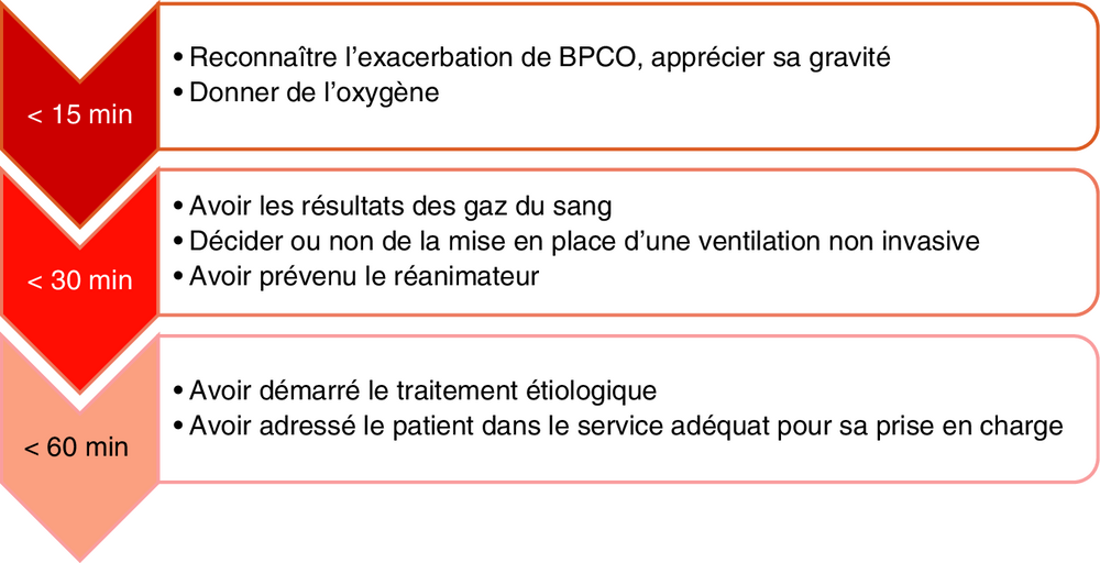 Frise chronologique des objectifs de prise en charge selon le délai