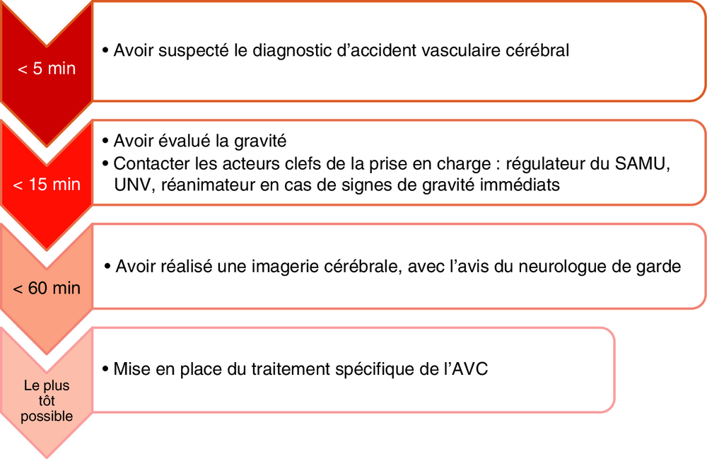 Frise chronologique des objectifs de prise en charge selon le délai