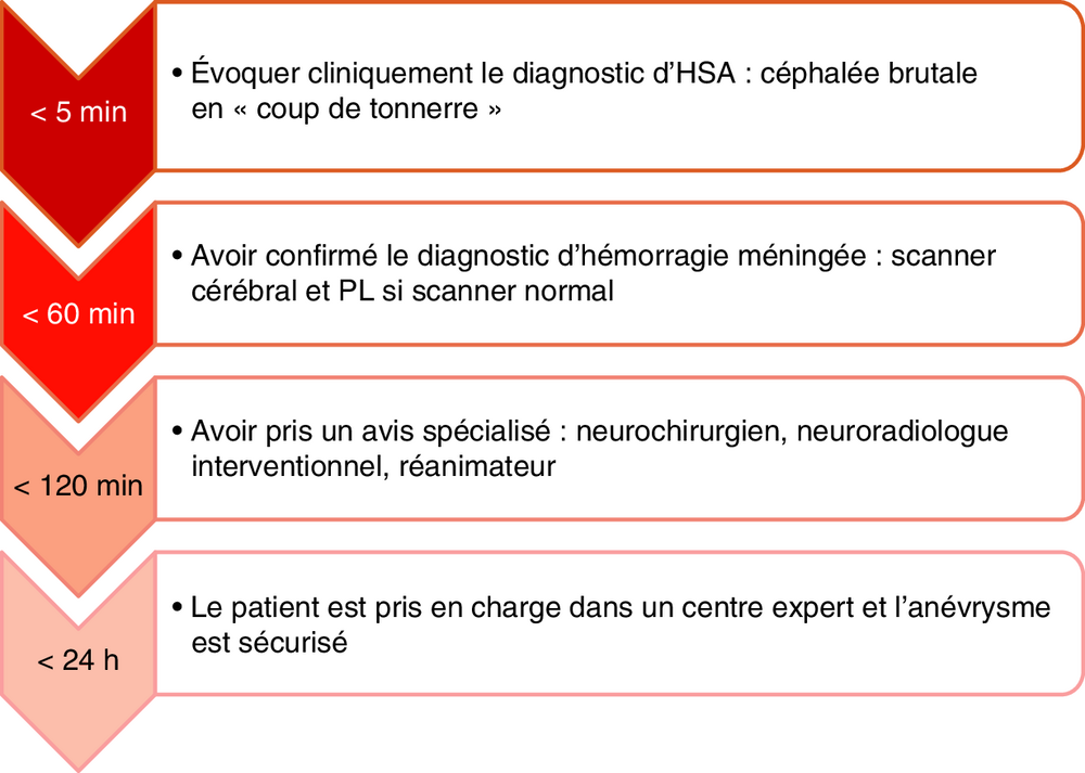 Frise chronologique des objectifs de prise en charge selon le délai