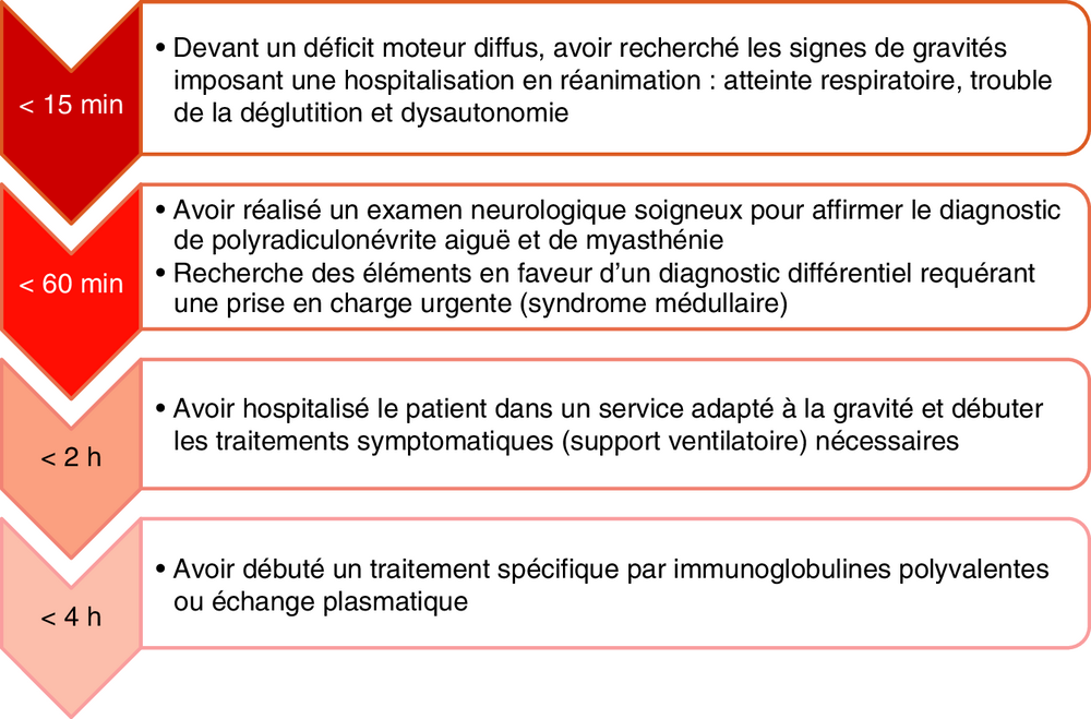 Frise chronologique des objectifs de prise en charge selon le délai