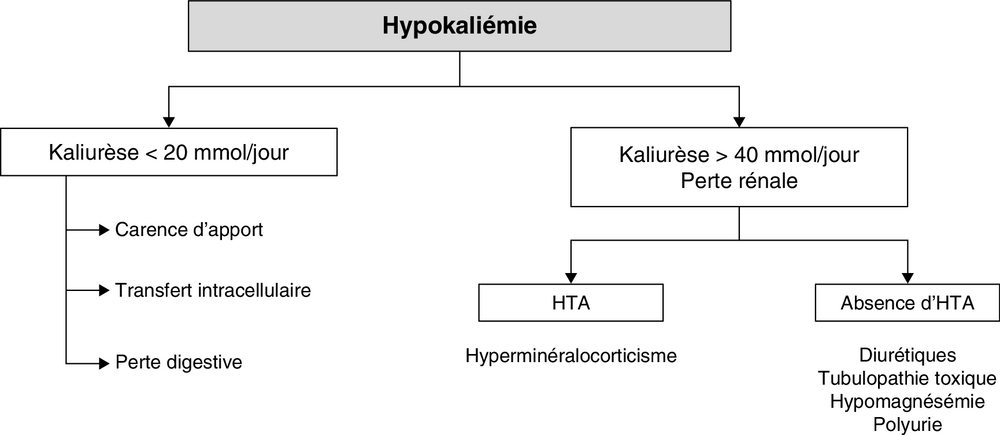 A Démarche diagnostique devant une hypokaliémie
