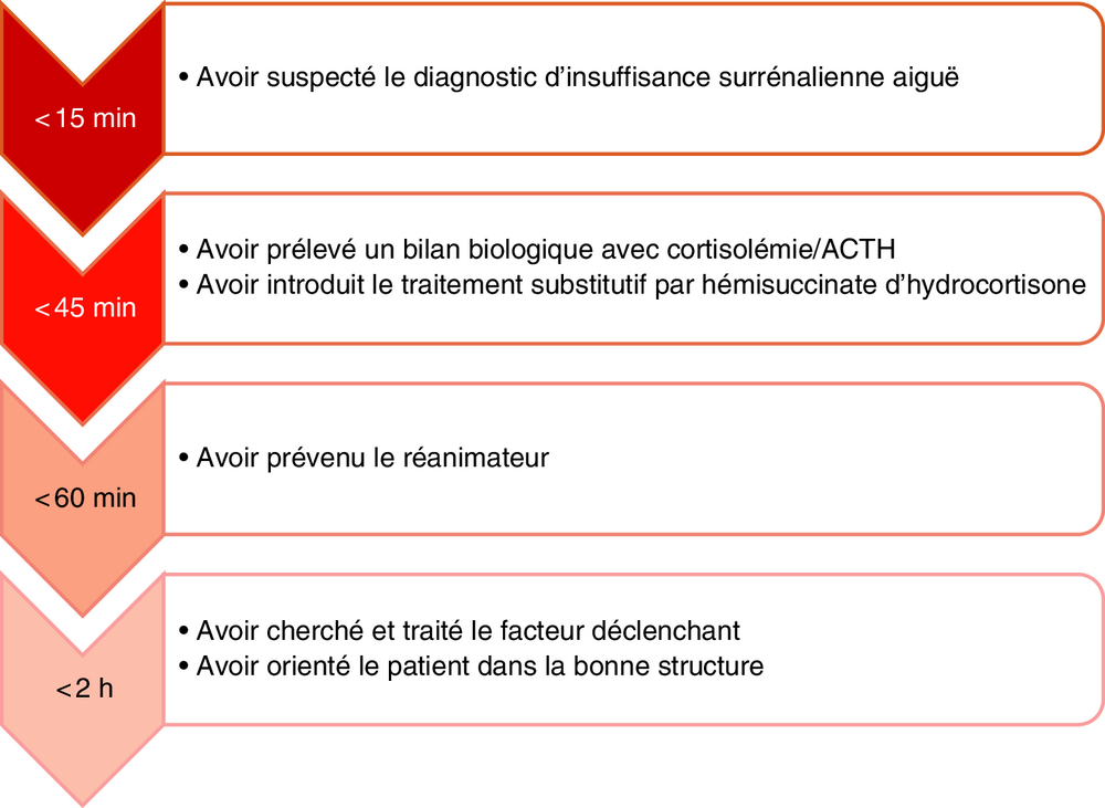 Frise chronologique des objectifs de prise en charge selon le délai