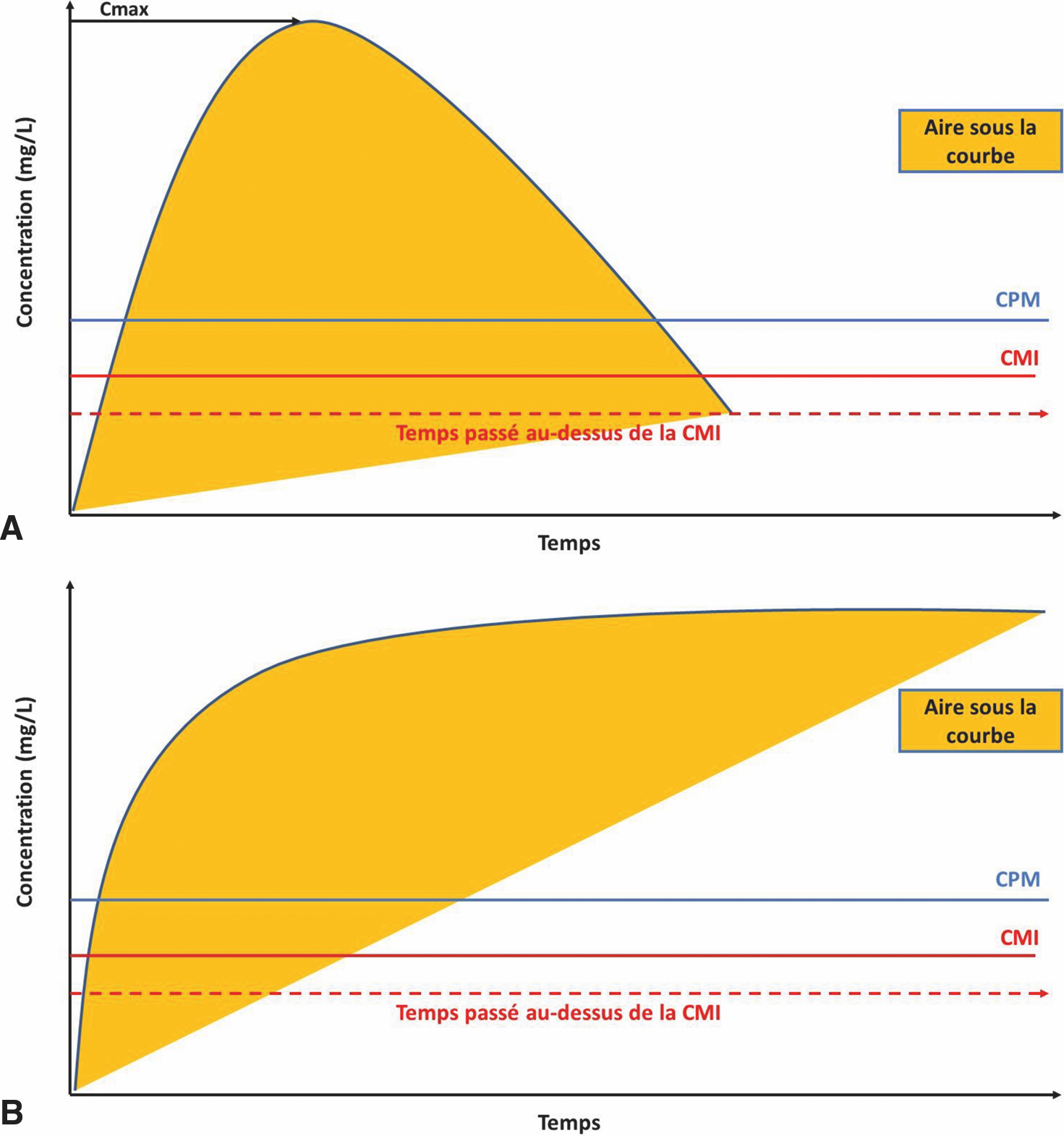 C Concentration d’antibiotique en fonction du temps. Exemple de figure que l’on obtiendrait pour un antibiotique bactéricide temps-dépendant