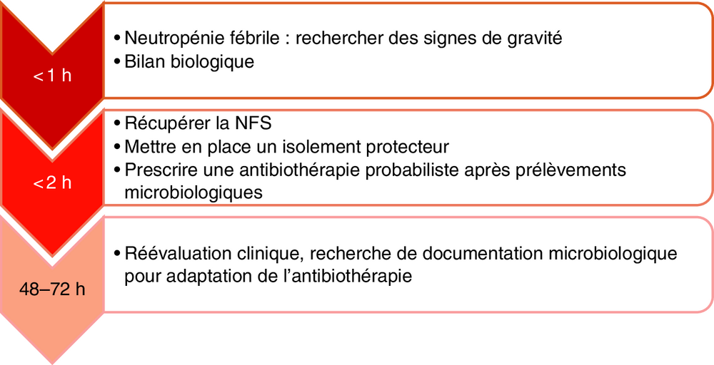 Frise chronologique des objectifs de prise en charge selon le délai
