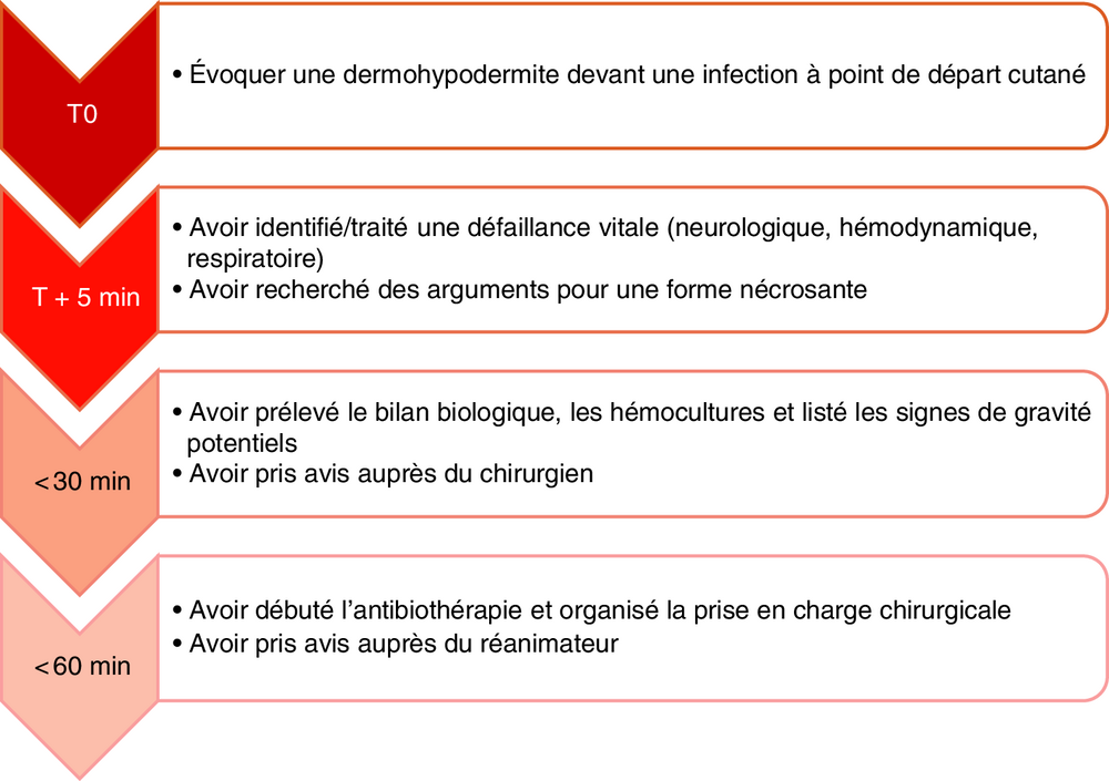 Frise chronologique des objectifs de prise en charge selon le délai