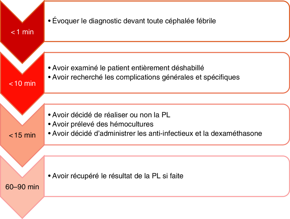 Frise chronologique des objectifs de prise en charge selon le délai
