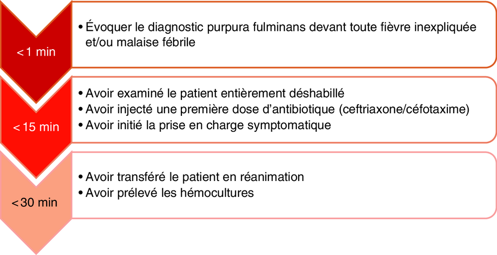 Frise chronologique des objectifs de prise en charge selon le délai