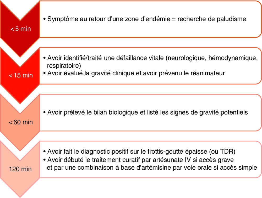Frise chronologique des objectifs de prise en charge selon le délai