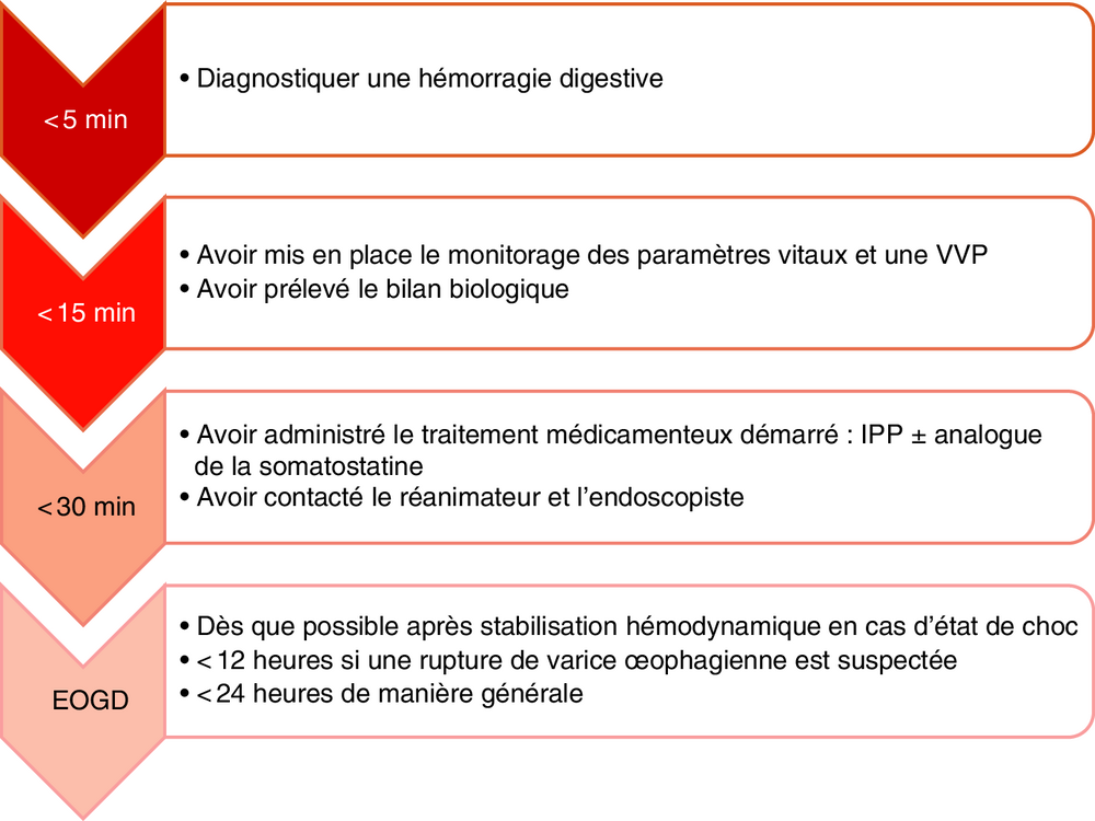 Frise chronologique des objectifs de prise en charge selon le délai
