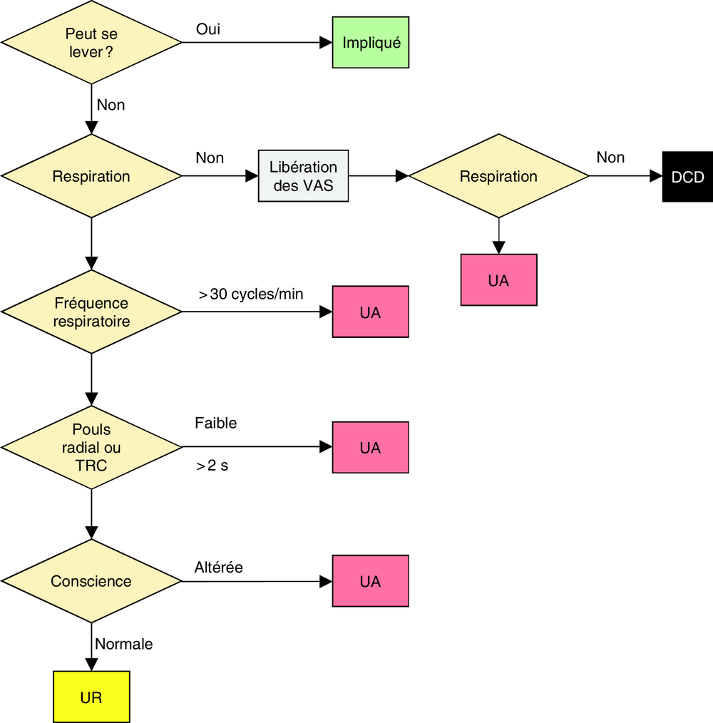 B Algorithme de triage START-ABC ( Simple Triage And Rapid Treatment-Airway, Bleeding and blanching, Cognition )