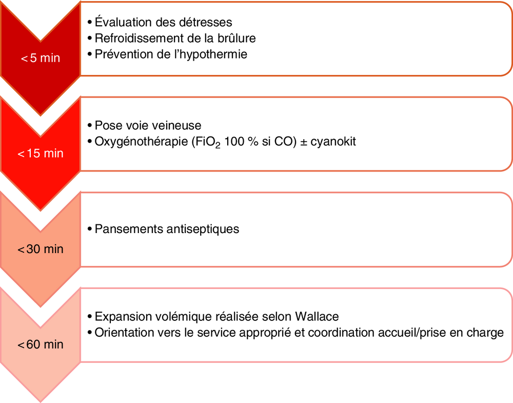 Frise chronologique des objectifs de prise en charge selon le délai