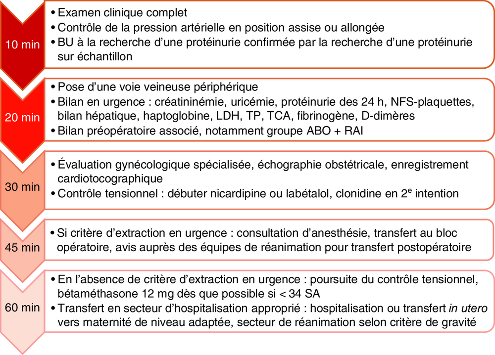 Frise chronologique des objectifs de prise en charge selon le délai