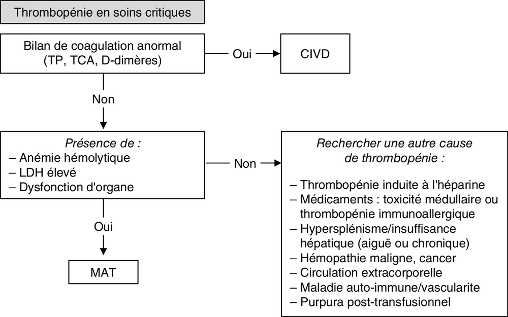 A Arbre décisionnel : orientation diagnostique devant une thrombopénie en soins critiques