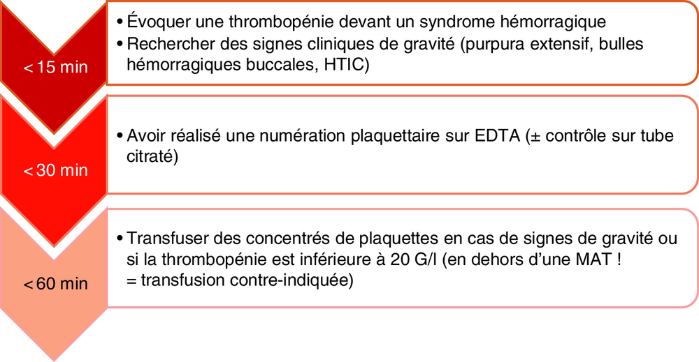 Frise chronologique des objectifs de prise en charge selon le délai